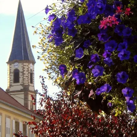 Gite Le Charme Du Piemont Des Vosges